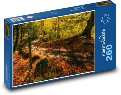 Príroda, jeseň, cesta - Puzzle 260 dielikov, rozmer 41x28,7 cm