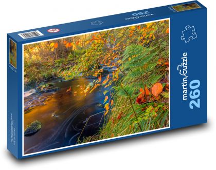 Příroda, podzim, potok - Puzzle 260 dílků, rozměr 41x28,7 cm