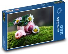 Sedmokráska, škrupina Puzzle 260 dielikov - 41 x 28,7 cm 