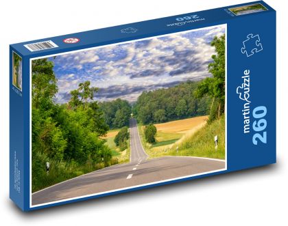 Road to the unknown - Puzzle 260 pieces, size 41x28.7 cm 