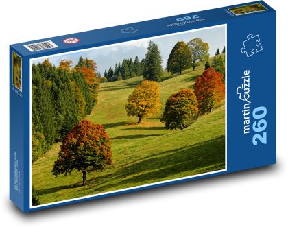 Podzim, příroda - Puzzle 260 dílků, rozměr 41x28,7 cm