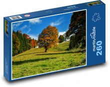 A tree in the colors of autumn Puzzle 260 pieces - 41 x 28.7 cm