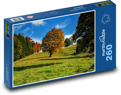 A tree in the colors of autumn - Puzzle 260 pieces, size 41x28.7 cm 