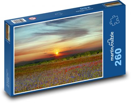 Pole vlčích máků při východu slunce - puzzle 260 dílků