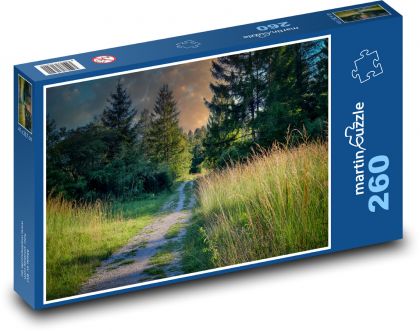 Overgrown forest road - Puzzle 260 pieces, size 41x28.7 cm 