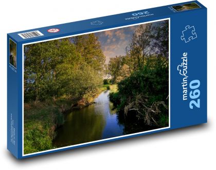 Stream overgrown in the forest - Puzzle 260 pieces, size 41x28.7 cm 