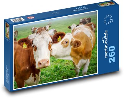 Gefleckte Kühe auf der Weide - Puzzle - 260 Teile