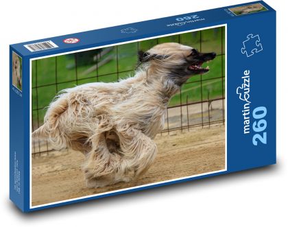 Race - dog, greyhound - Puzzle 260 pieces, size 41x28.7 cm 