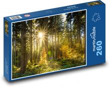 Les, slunce, stromy Puzzle 260 dílků - 41 x 28,7 cm