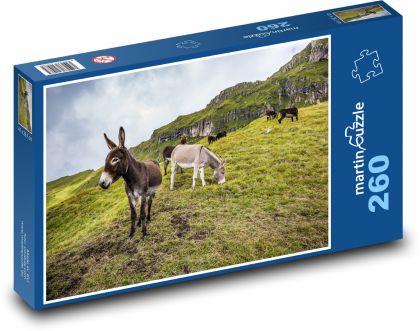 Oslí horská pastvina - puzzle 260 dílků