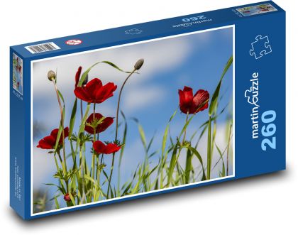 Flowers, poppies - Puzzle 260 pieces, size 41x28.7 cm 