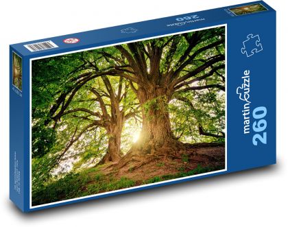 Slunce prosvítající mezi stromy - puzzle 260 dílků
