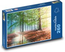 Sluneční paprsky v podzimním lese Puzzle 260 dílků - 41 x 28,7 cm