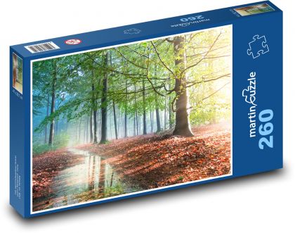 Sonnenschein im Herbstwald - Puzzle - 260 Teile
