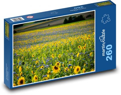 Field of sunflowers - Puzzle 260 pieces, size 41x28.7 cm 