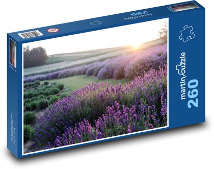 Levandulové pole při západu slunce - puzzle 260 dílků