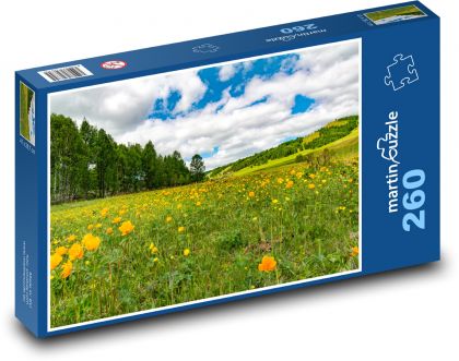Kwitnąca łąka - Puzzle 260 elementów, rozmiar 41x28,7 cm