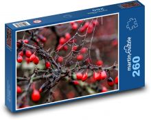 Šípky, jeseň Puzzle 260 dielikov - 41 x 28,7 cm
