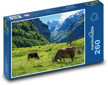 Horská louka s pasoucími se kravami - puzzle 260 dílků