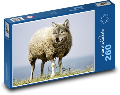 A wolf in sheep - Puzzle 260 pieces, size 41x28.7 cm 