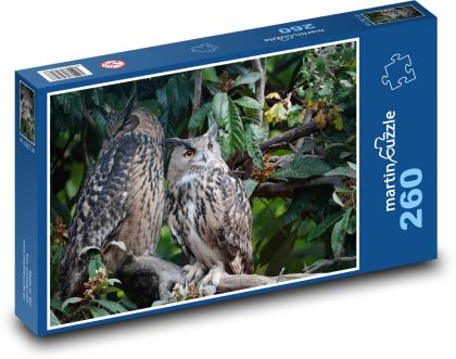 Eurasian Eagle-Owl - Puzzle 260 pieces, size 41x28.7 cm 