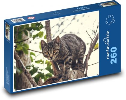 Kot domowy - Puzzle 260 elementów, rozmiar 41x28,7 cm
