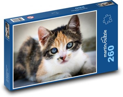 Kotě, kočka domácí - Puzzle 260 dílků, rozměr 41x28,7 cm