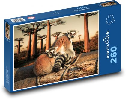 Lemur kata - Puzzle 260 dílků, rozměr 41x28,7 cm
