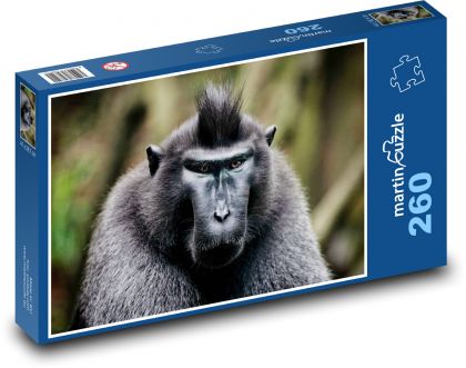 Monkey - Puzzle 260 pieces, size 41x28.7 cm 