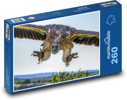 Bald vulture - Puzzle 260 pieces, size 41x28.7 cm 