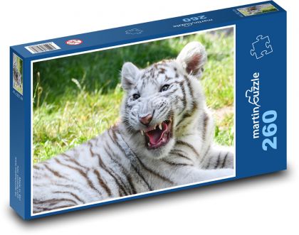 White tiger - Puzzle 260 pieces, size 41x28.7 cm 