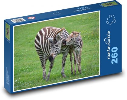 Zebra, młode - Puzzle 260 elementów, rozmiar 41x28,7 cm
