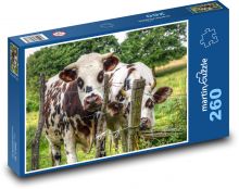 Krowy Puzzle 260 elementów - 41x28,7 cm