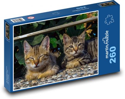 Kočky - Puzzle 260 dílků, rozměr 41x28,7 cm
