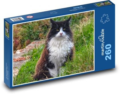 Katze im Gras - Puzzle - 260 Teile