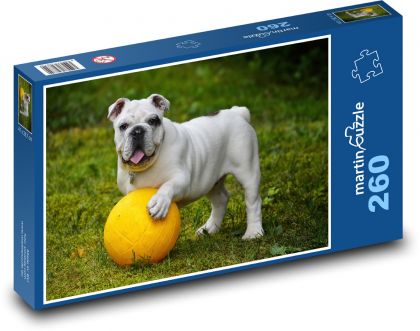 Pes, buldog s míčem - puzzle 260 dílků