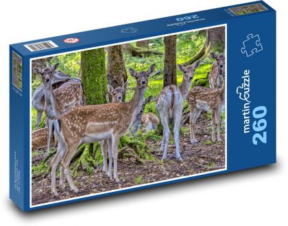 Daněk evropský - puzzle 260 dílků