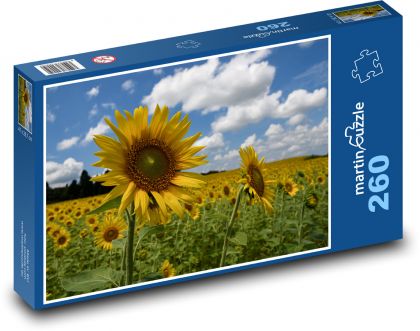 Sunflower - Puzzle 260 pieces, size 41x28.7 cm 