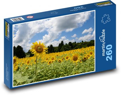 Pole slnečníc - Puzzle 260 dielikov, rozmer 41x28,7 cm