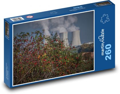 Ruža šípková, elektráreň - Puzzle 260 dielikov, rozmer 41x28,7 cm