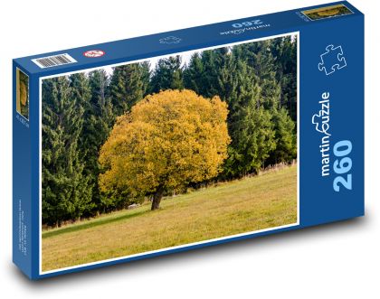 Ein Baum in Herbstfarben - Puzzle - 260 Teile