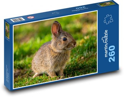 Kleiner Hase - Puzzle - 260 Teile