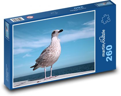 łysa mewa - Puzzle 260 elementów, rozmiar 41x28,7 cm