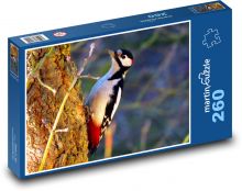 Bird - Woodpecker Puzzle 260 pieces - 41 x 28.7 cm 