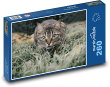 Mačka domáca Puzzle 260 dielikov - 41 x 28,7 cm