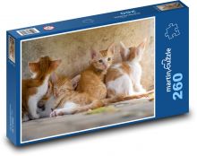Kittens, cats Puzzle 260 pieces - 41 x 28.7 cm 