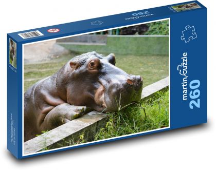 Zoo - hippo - Puzzle 260 pieces, size 41x28.7 cm 