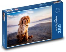 Pes, pláž Puzzle 260 dílků - 41 x 28,7 cm