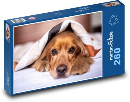 Anglický Kokeršpaniel - Puzzle 260 dielikov, rozmer 41x28,7 cm