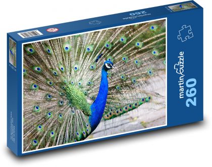 Páv korunkatý - Puzzle 260 dielikov, rozmer 41x28,7 cm